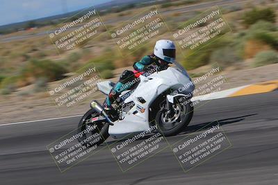 media/Oct-01-2023-SoCal Trackdays (Sun) [[4c570cc352]]/Turn 14 Side (1135am)/